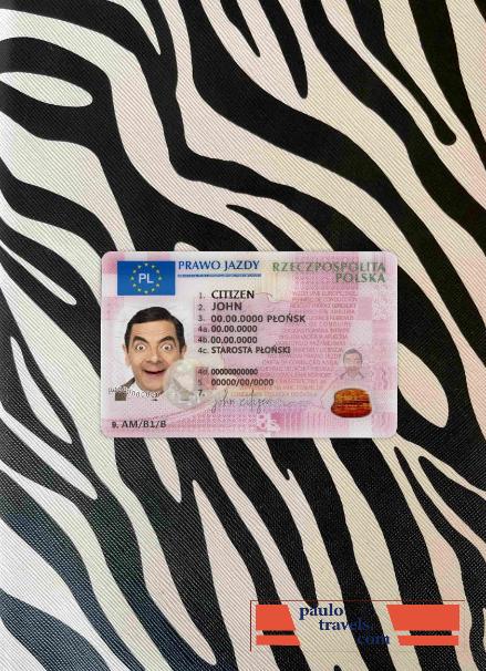 Poland DL 2019   present photolook FRONT PSD template